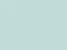 מינט אייס (1)