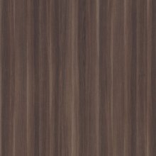 אלנטג'ו אלם