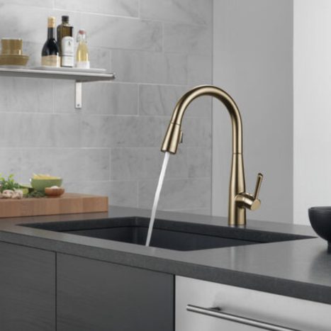 ברז מטבח אסה קלאסי DELTA