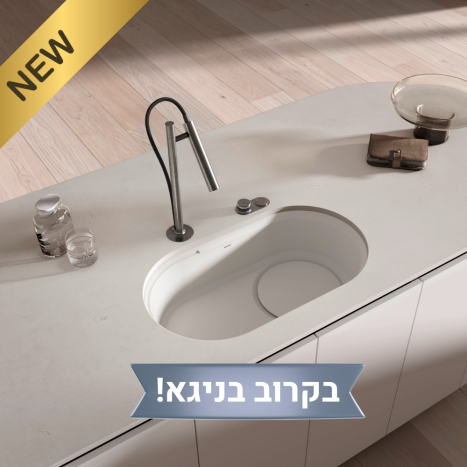 כיור מטבח אובלון BLANCO