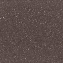 סיטי רוסט קולקציית 2026