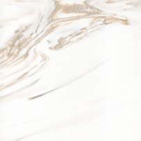 וסטו גרז' קולקציית 2026